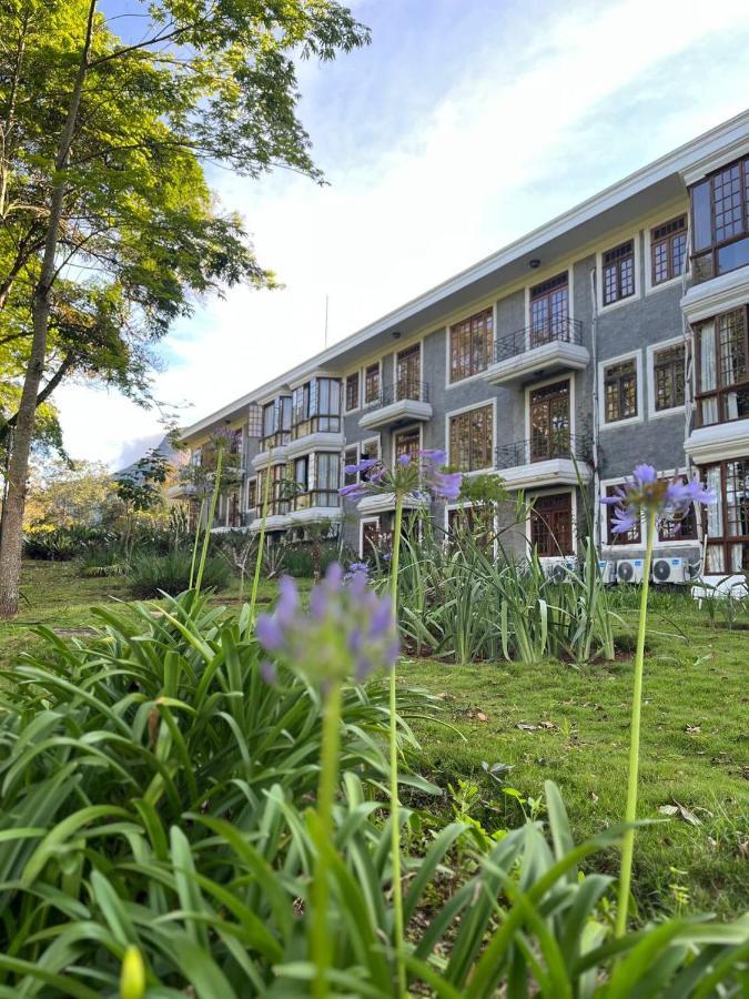 Aroso Paco Hotel Pedra Azul  Exterior photo The Faculty of Law