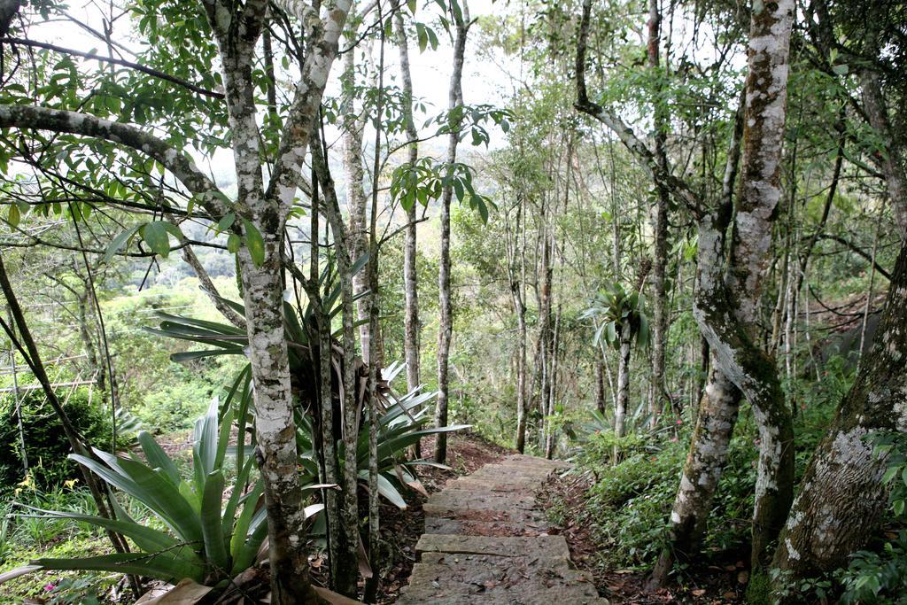 Aroso Paco Hotel Pedra Azul  Exterior photo A trail in the park